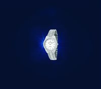 Orologio Chiara Ferragni Donna EVERYDAY in Acciaio R1953100511 - R1953100511